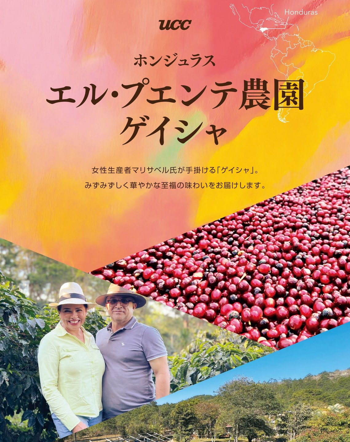 ホンジュラス エル・プエンテ農園 ゲイシャ販売スタート！ - カフェ