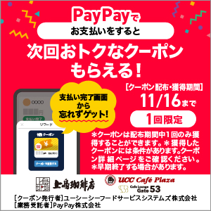 https://s.paypay.ne.jp/HFCv3Q