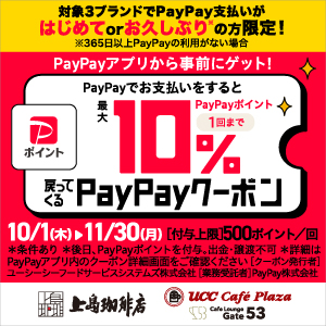 https://s.paypay.ne.jp/Rwaxq